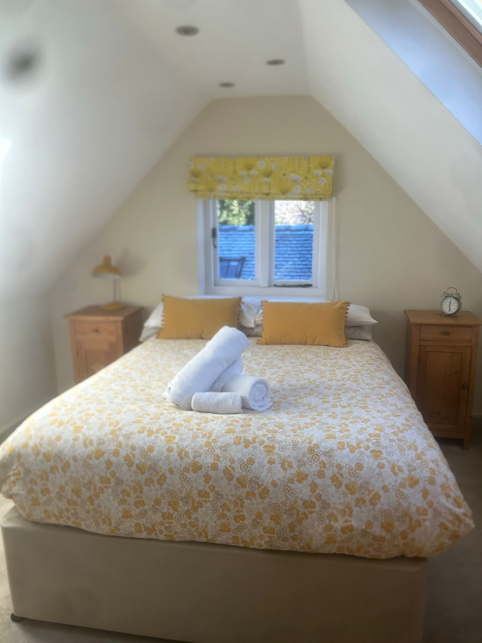 Fridge cleaning in Nottingham